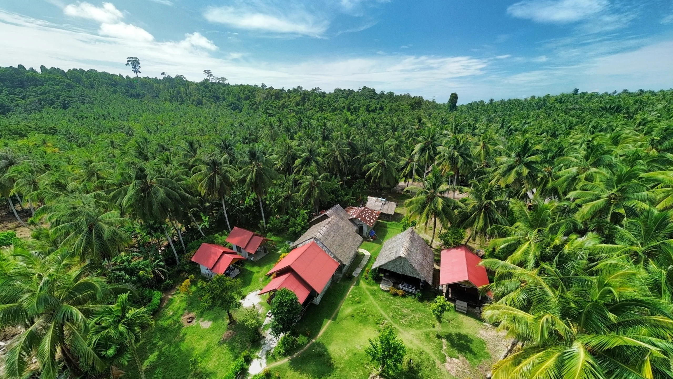 Black Pearl Surf Village Mentawai Islands
