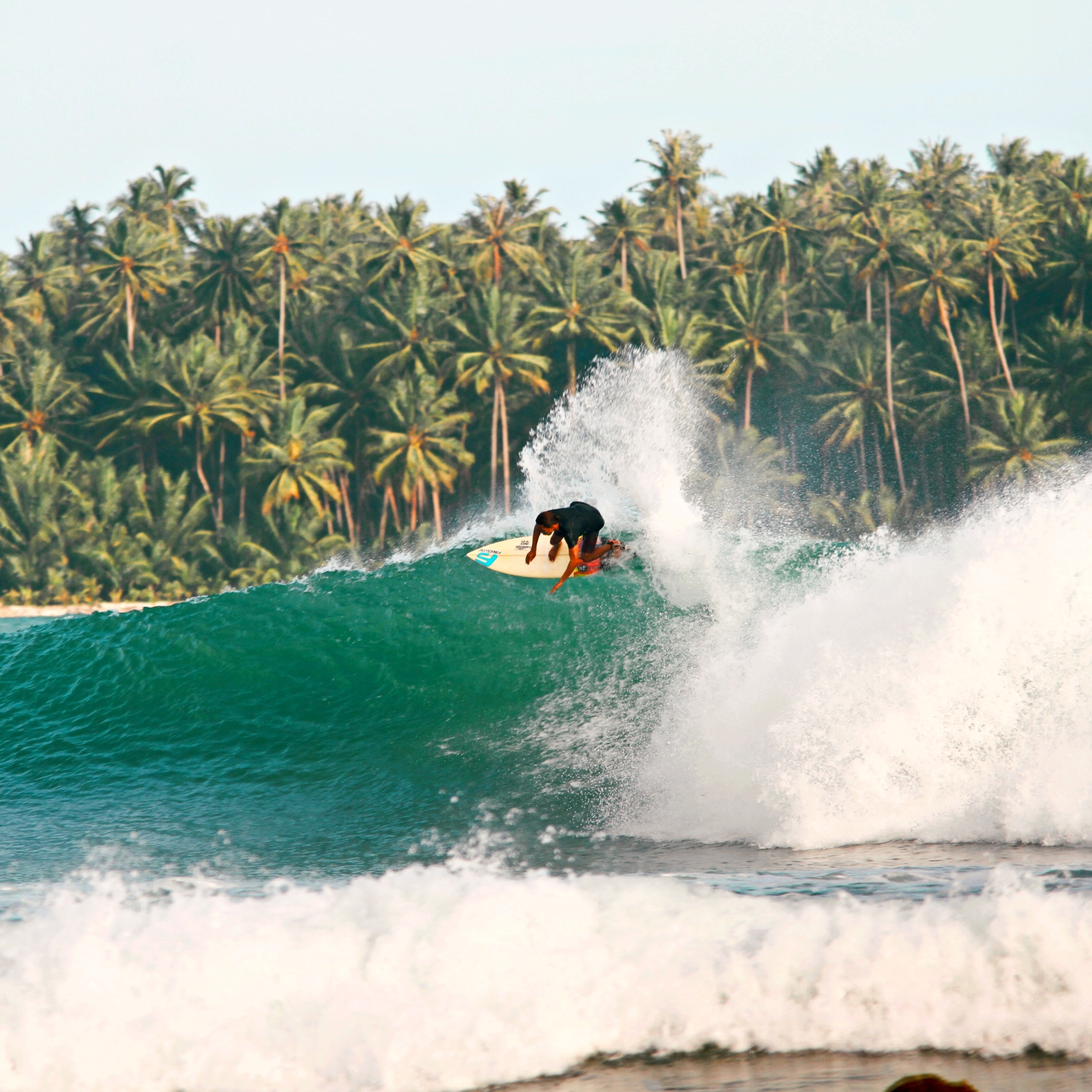 Englai Wau Surfing Sorake Nias